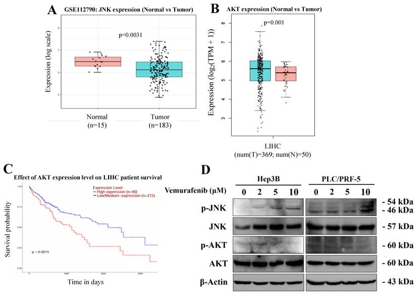 J Cancer Image