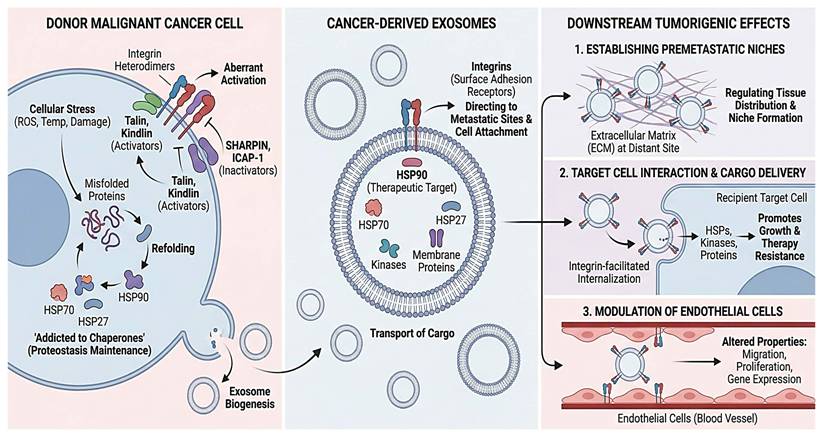 J Cancer Image