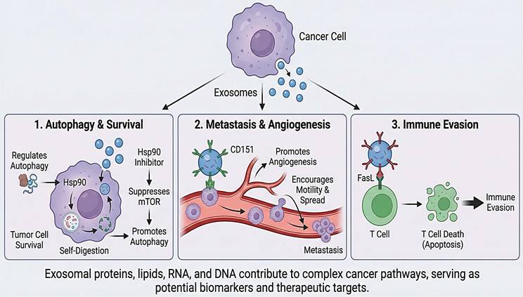 J Cancer Image