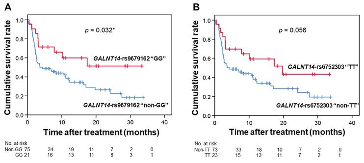 J Cancer Image