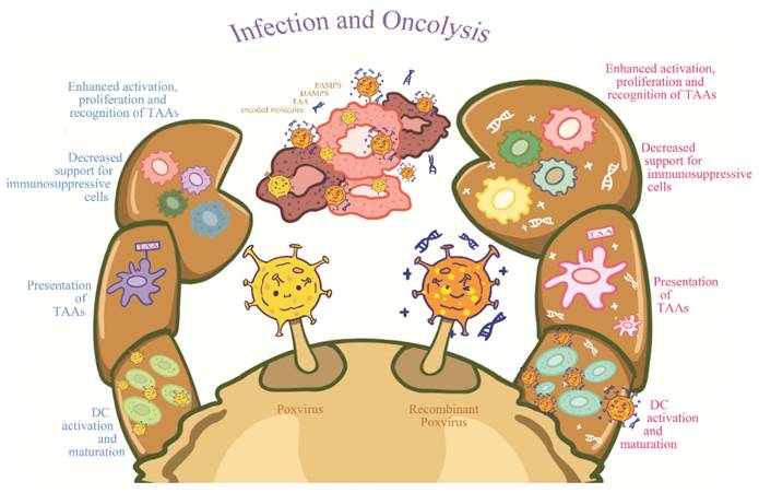 J Cancer Image