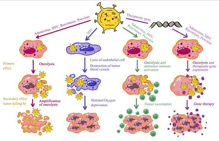 J Cancer Image