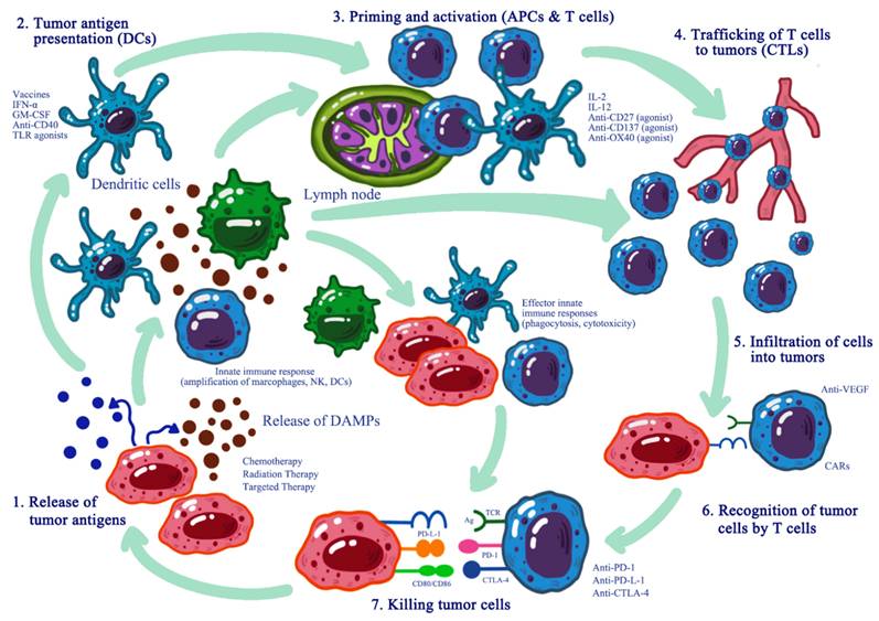 J Cancer Image