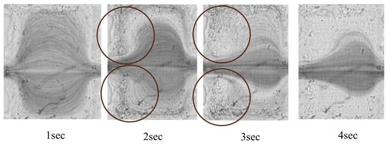 J Cancer Image