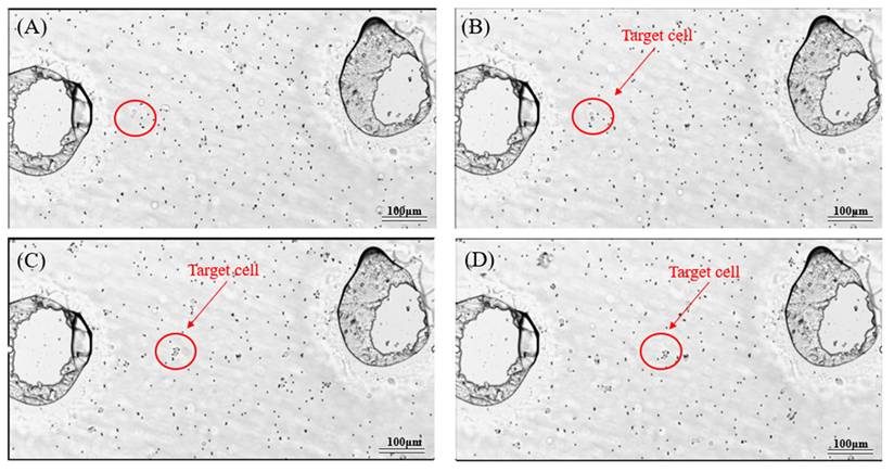 J Cancer Image