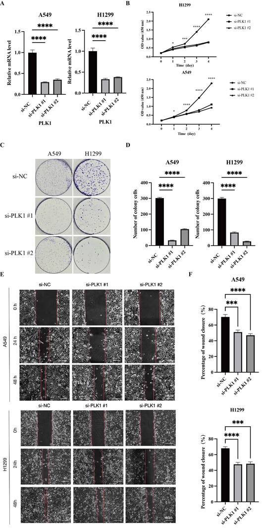 J Cancer Image