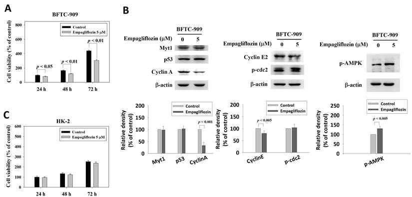 J Cancer Image