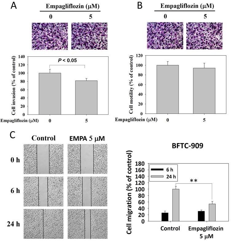 J Cancer Image