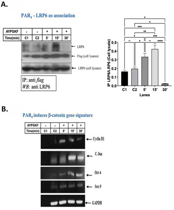 J Cancer Image