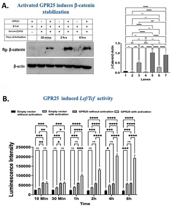 J Cancer Image