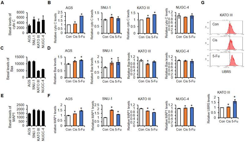 J Cancer Image