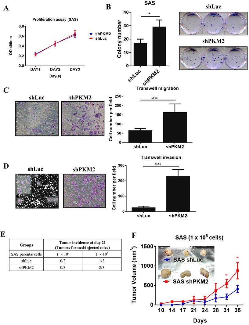 J Cancer Image