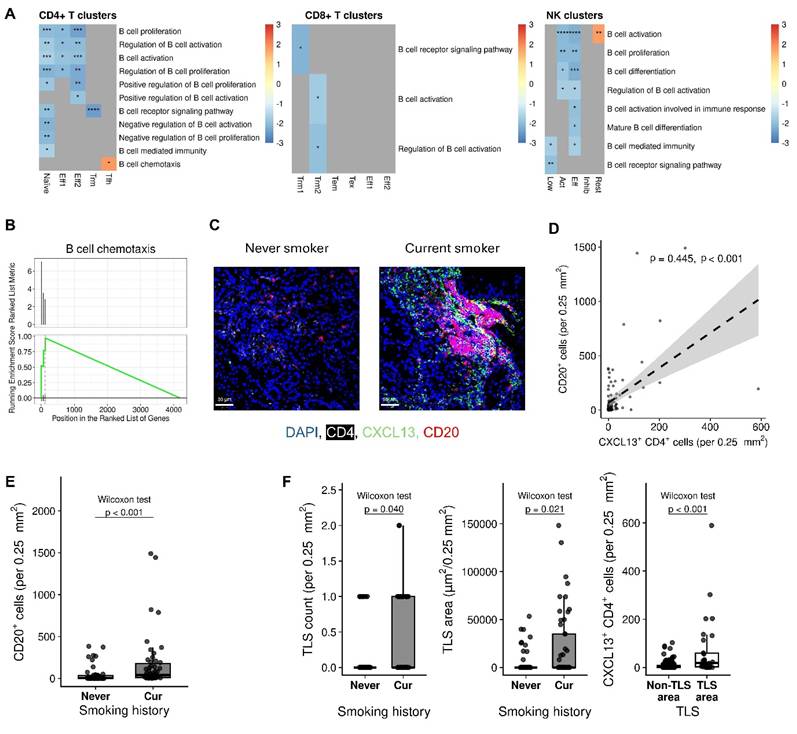 J Cancer Image