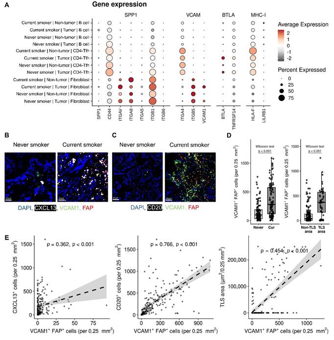 J Cancer Image