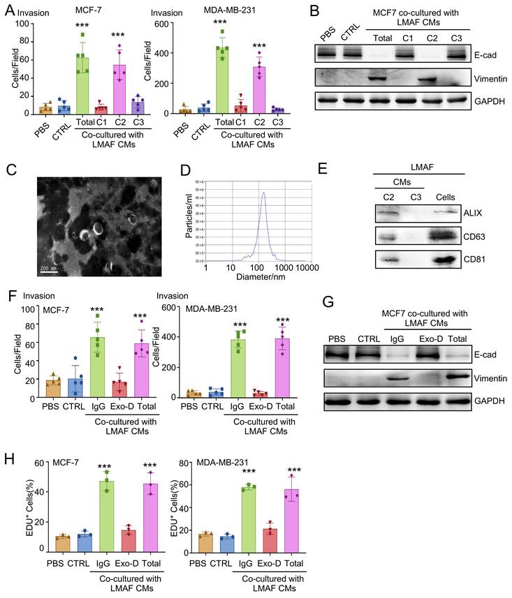 J Cancer Image