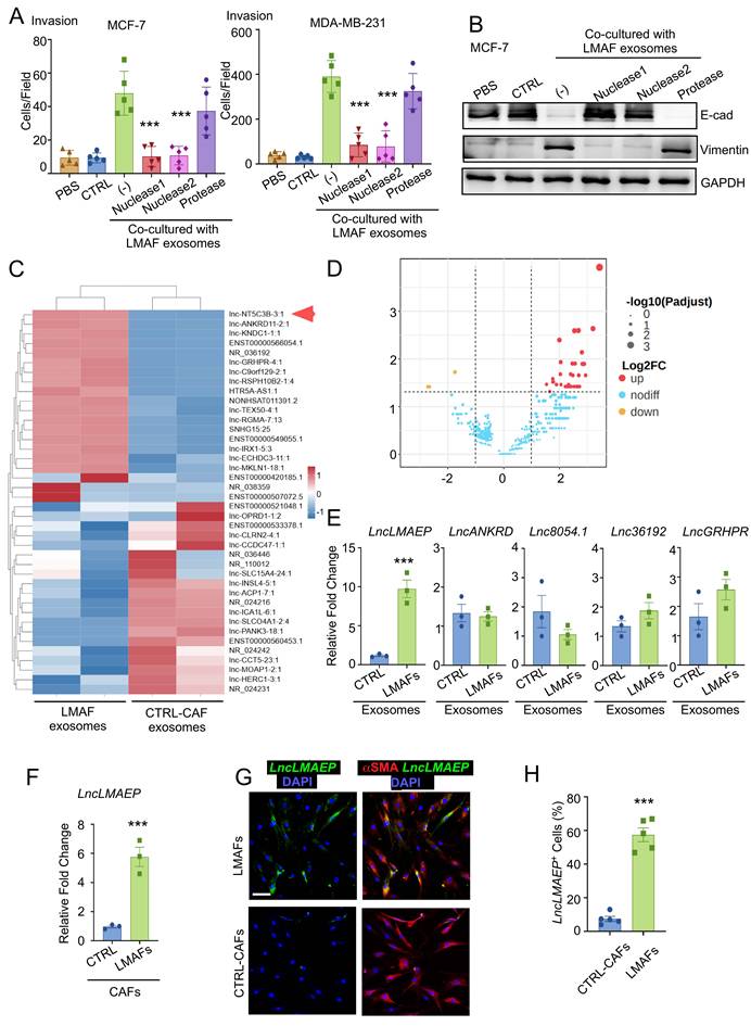 J Cancer Image