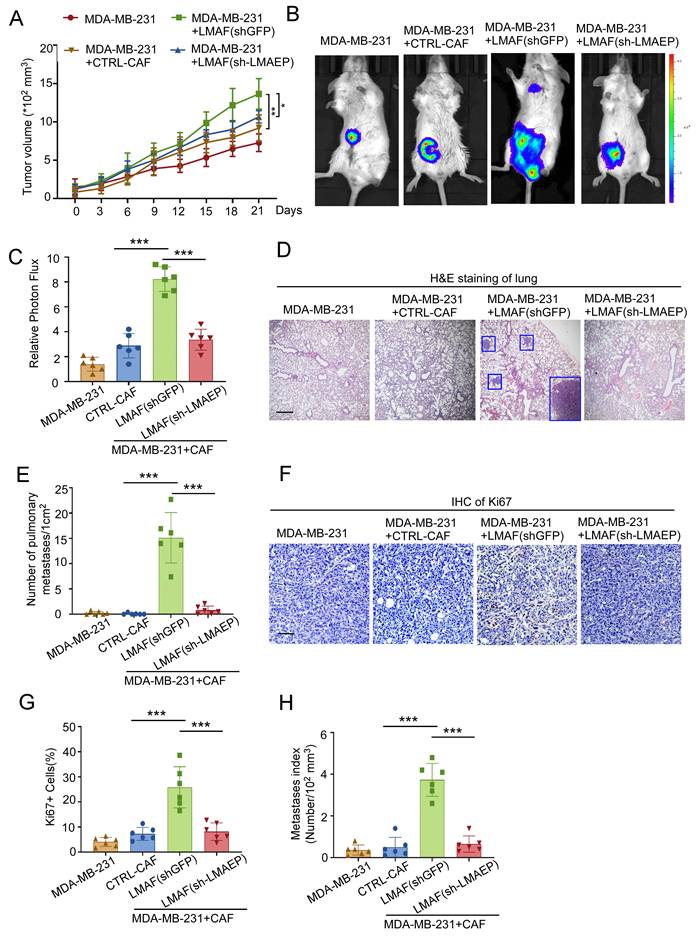 J Cancer Image