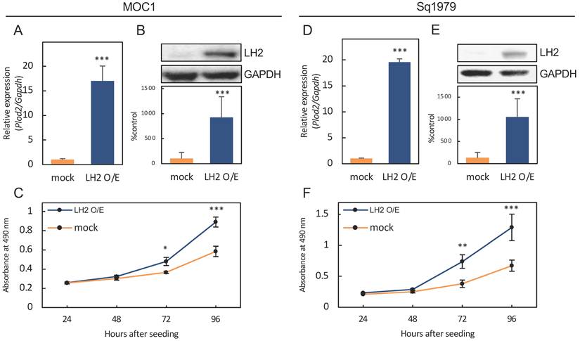 J Cancer Image