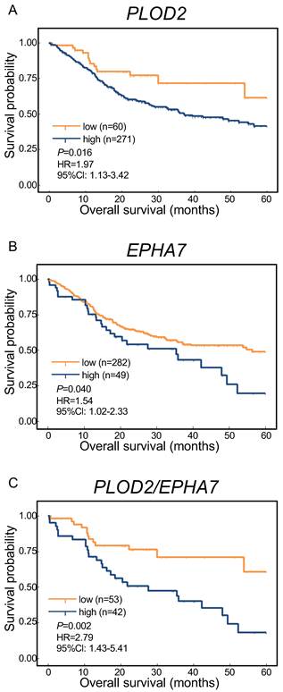 J Cancer Image