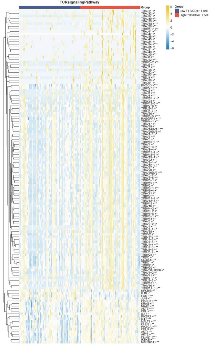 J Cancer Image