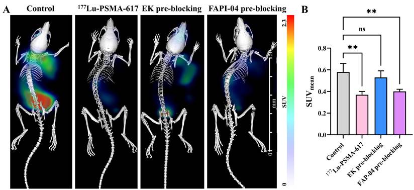 J Cancer Image